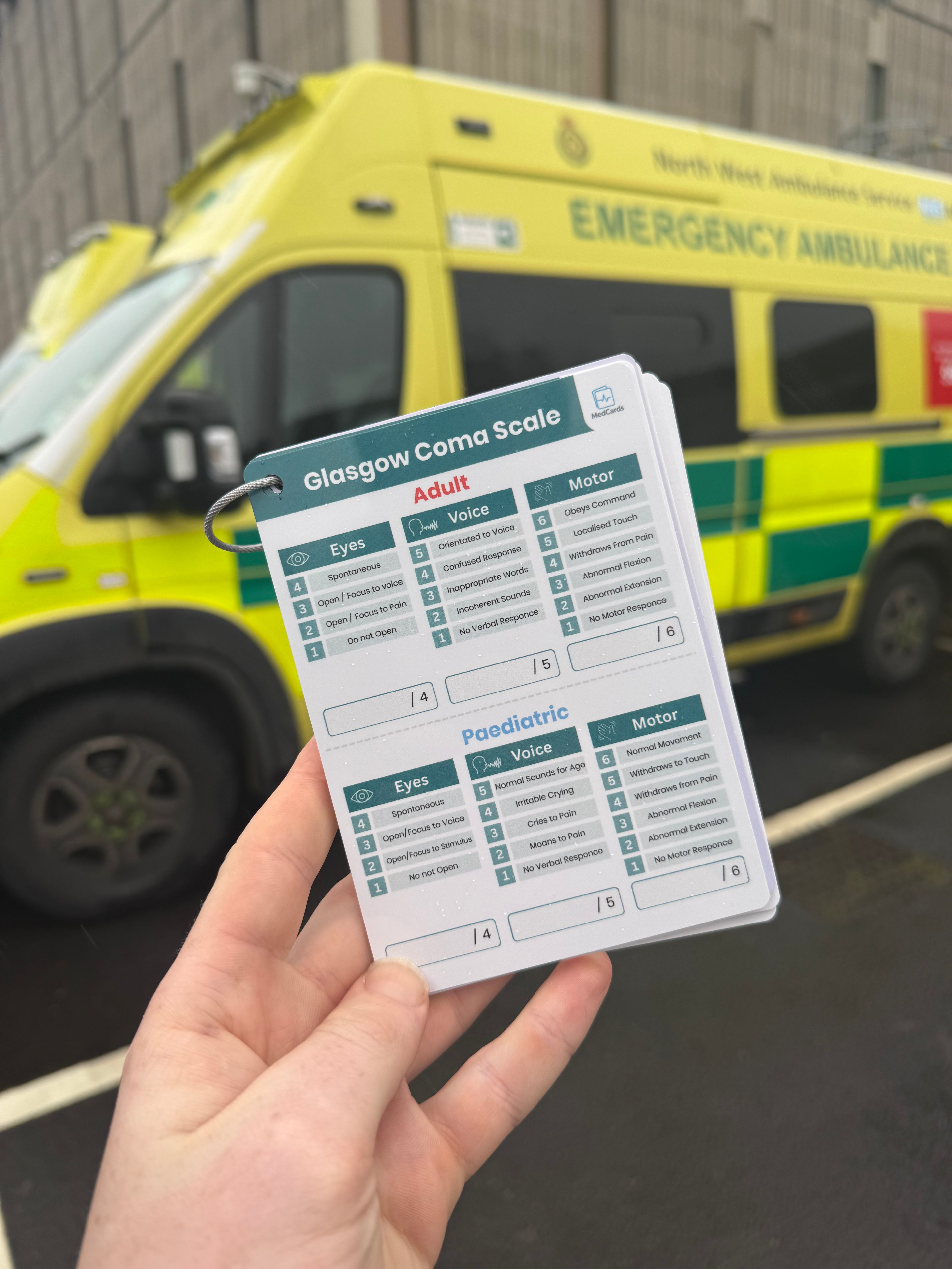 GCS & Cranial Nerve Reference Card