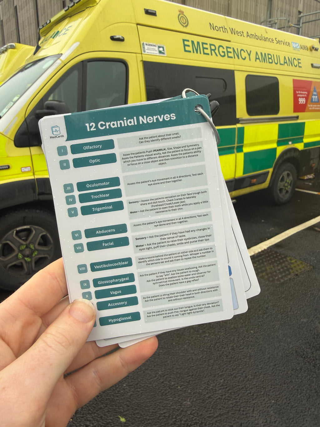 GCS & Cranial Nerve Reference Card